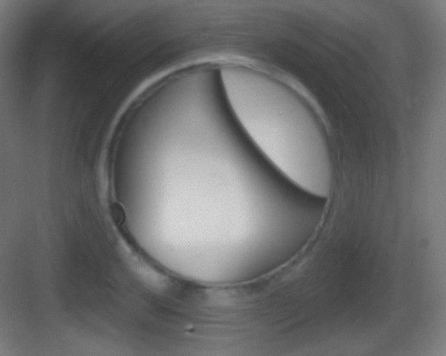 X0000083531032200702090715