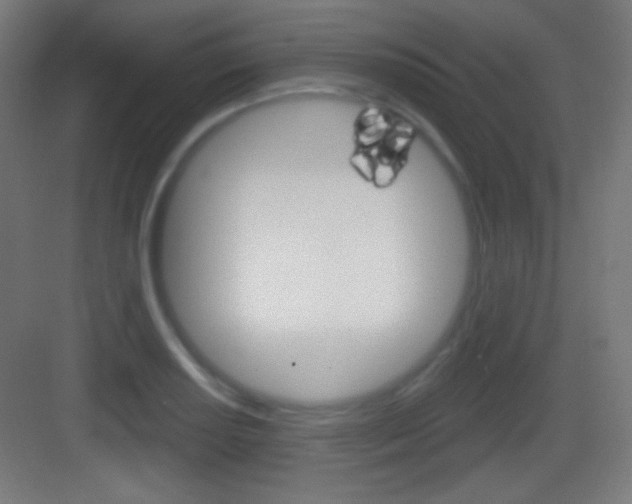 X0000083531034200702090715