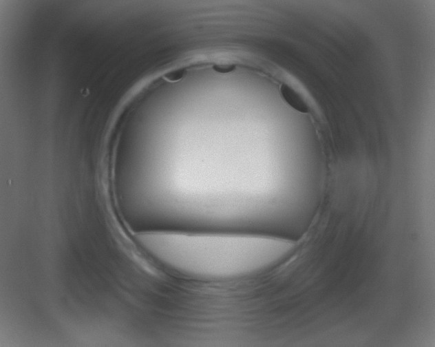 X0000083531035200702090715