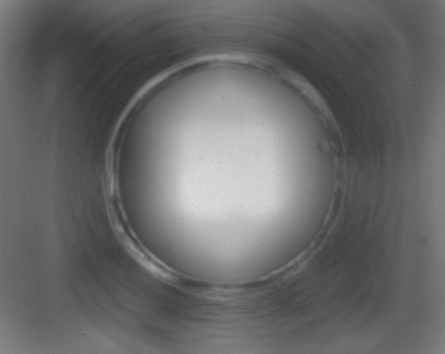 X0000083531036200702090715