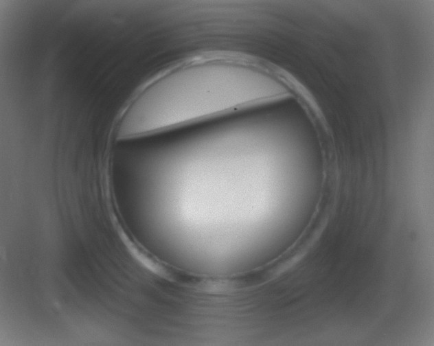 X0000083531041200702090715