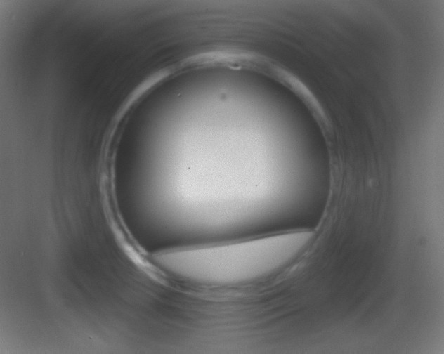 X0000083531042200702090715