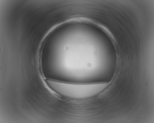 X0000083531046200702090715