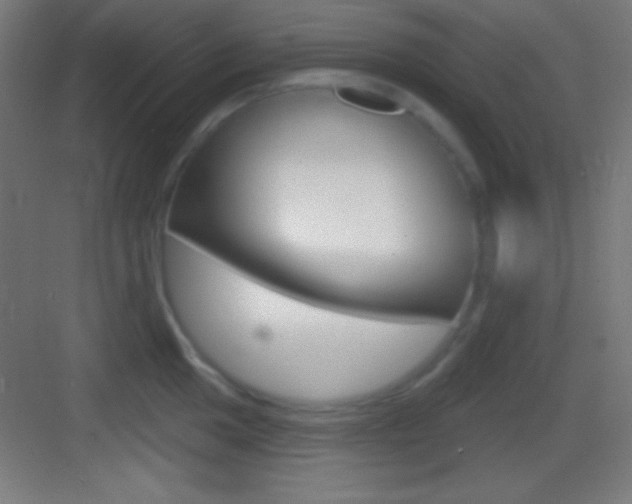 X0000083531049200702090715