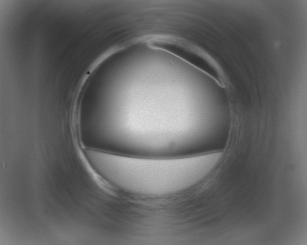 X0000083531050200702090715