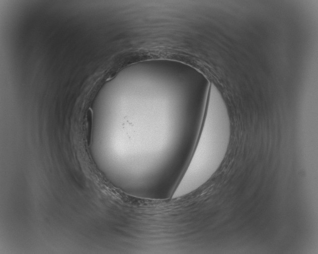 X0000083531057200702090714