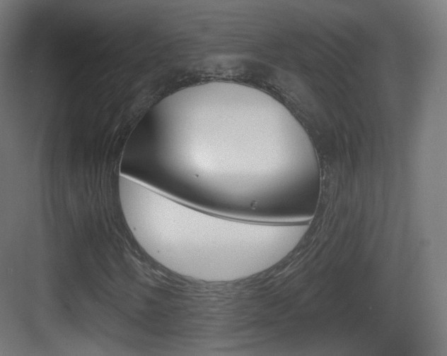 X0000083531058200702090714