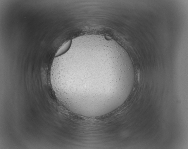 X0000083531059200702090714