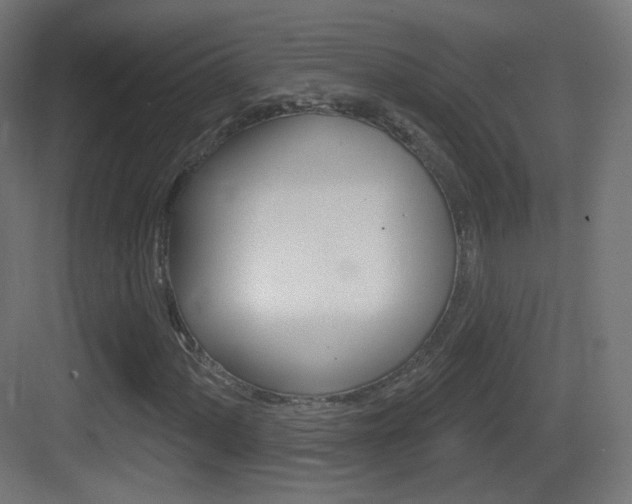 X0000083531060200702090714