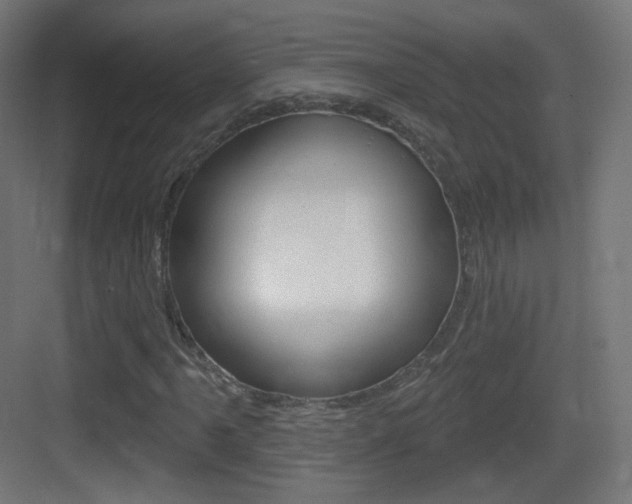 X0000083531061200702090714