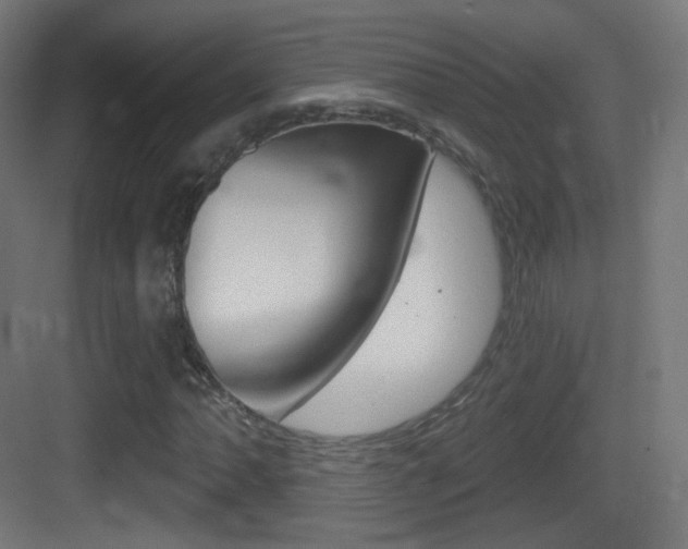 X0000083531062200702090714