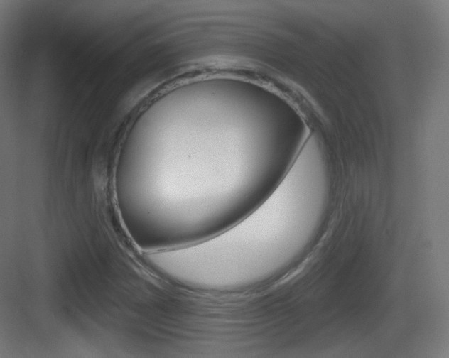 X0000083531065200702090714