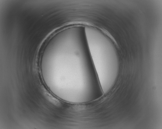 X0000083531068200702090714