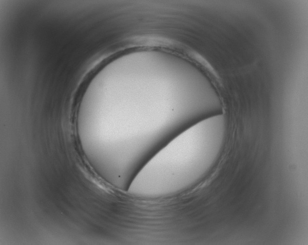 X0000083531071200702090714
