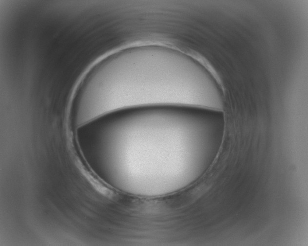 X0000083531072200702090714