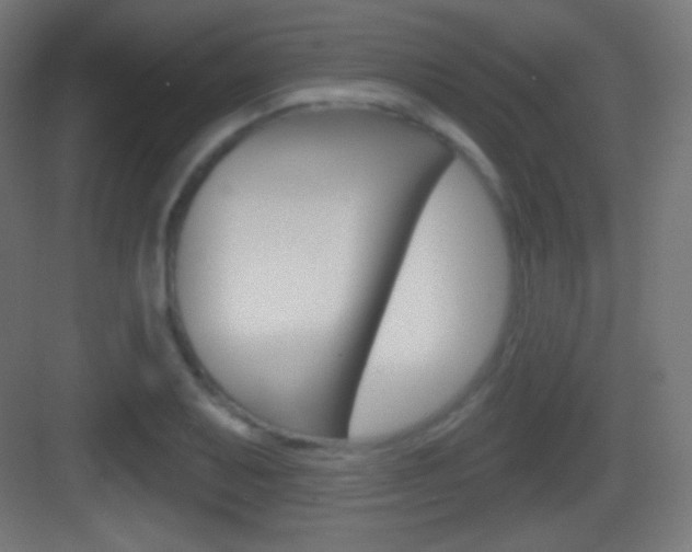 X0000083531079200702090714