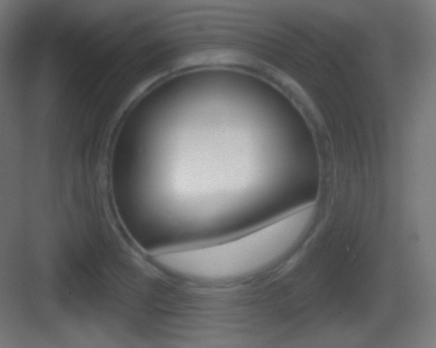 X0000083531081200702090714
