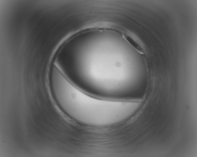 X0000083531085200702090714