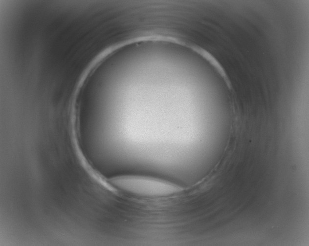 X0000083531096200702090713