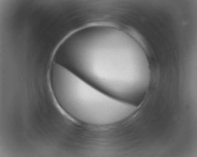 X0000083531100200702090713