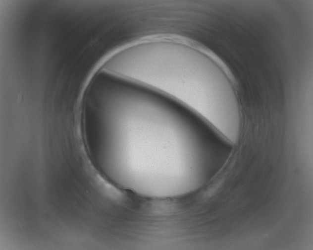 X0000083531102200702090713