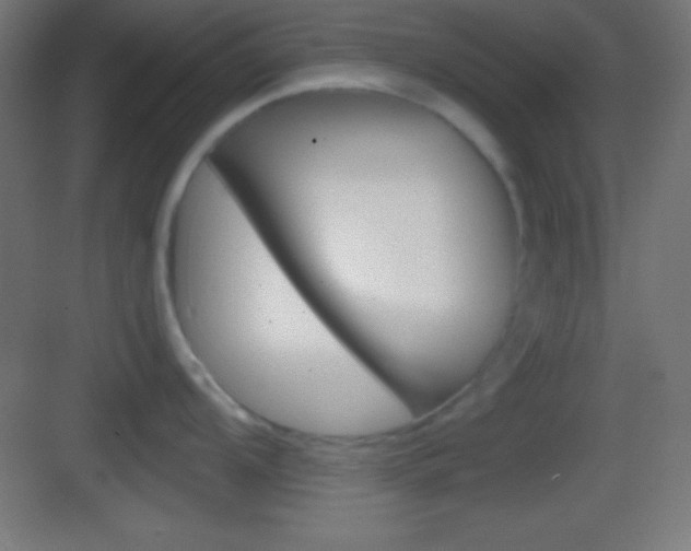 X0000083531104200702090713