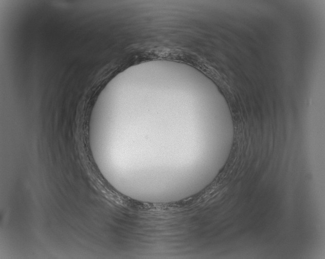 X0000083531105200702090713