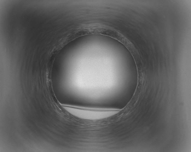 X0000083531108200702090713