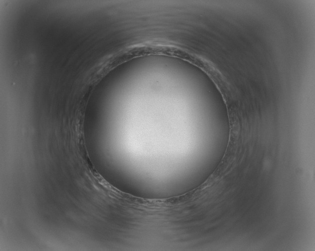 X0000083531110200702090713