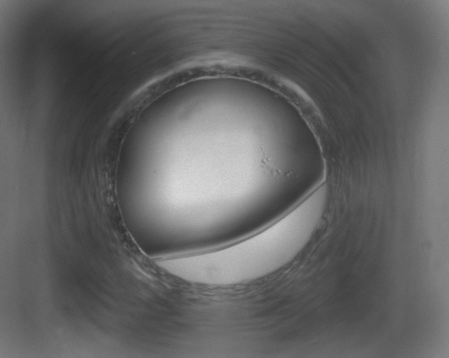 X0000083531112200702090713
