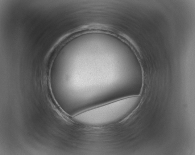 X0000083531115200702090713