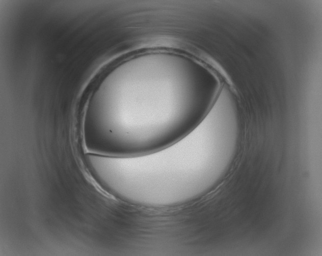 X0000083531116200702090713
