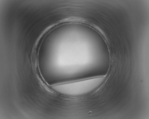 X0000083531123200702090713