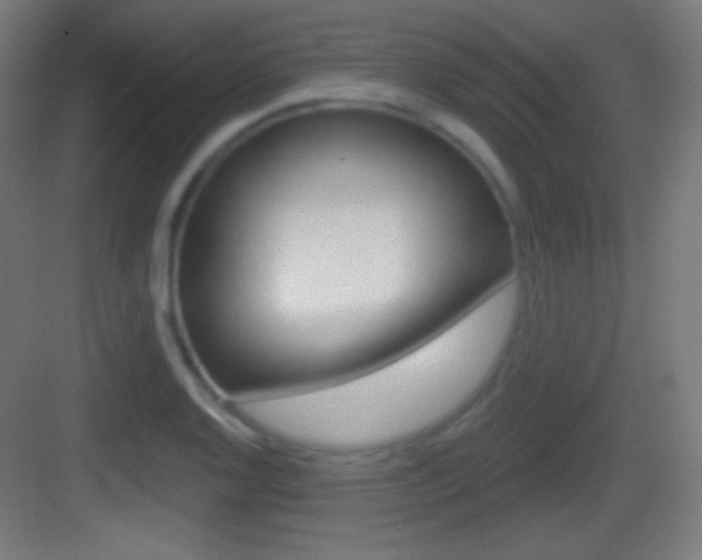 X0000083531128200702090713