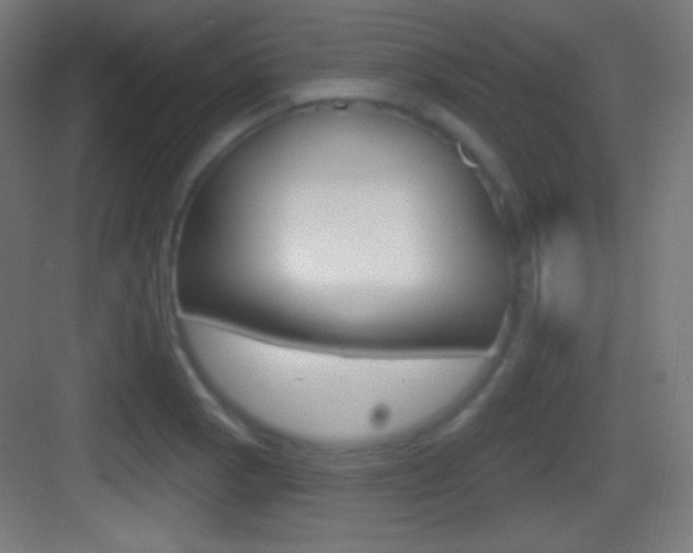 X0000083531129200702090713