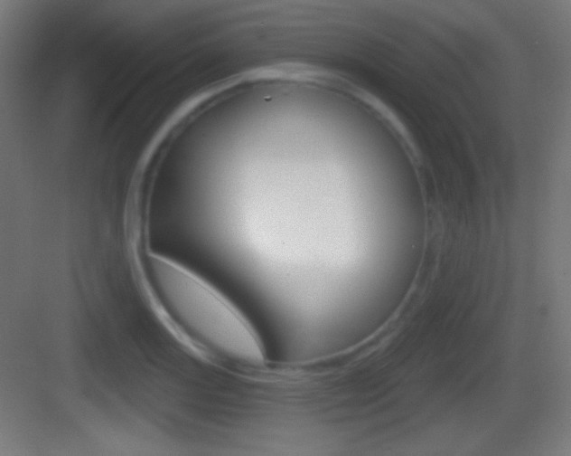 X0000083531131200702090713