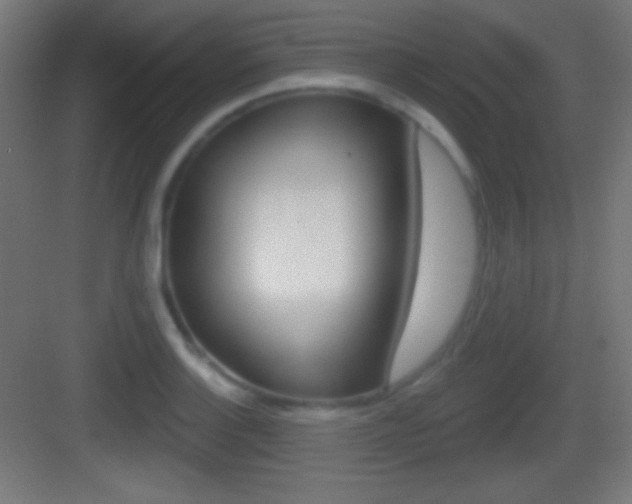X0000083531132200702090713