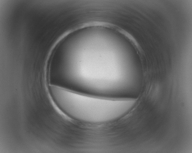 X0000083531135200702090713