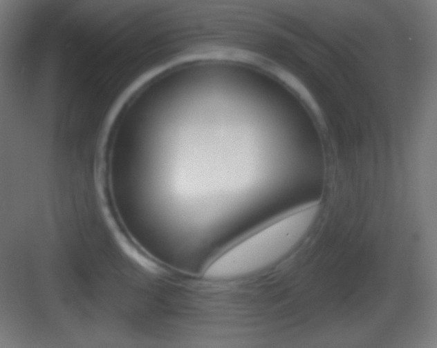 X0000083531136200702090713