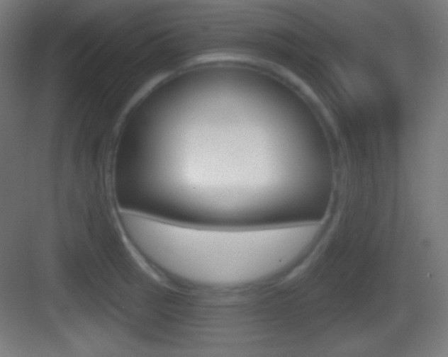 X0000083531137200702090713