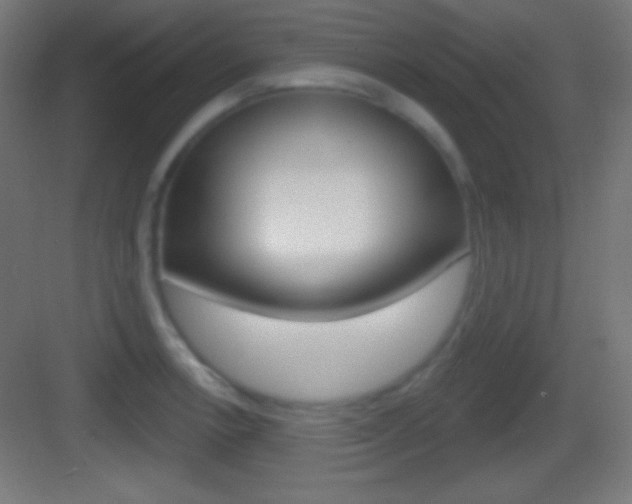 X0000083531138200702090713