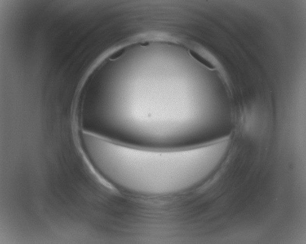 X0000083531141200702090713