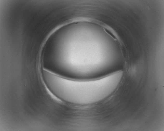 X0000083531143200702090713