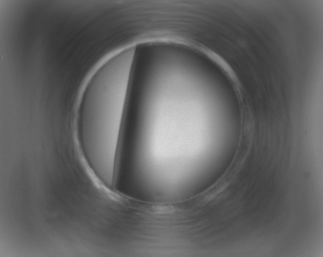 X0000083531144200702090713