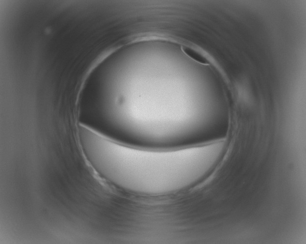 X0000083531145200702090713
