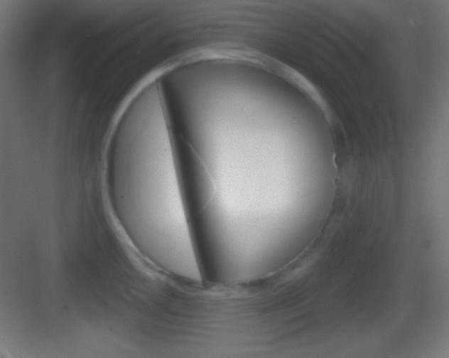 X0000083531146200702090713