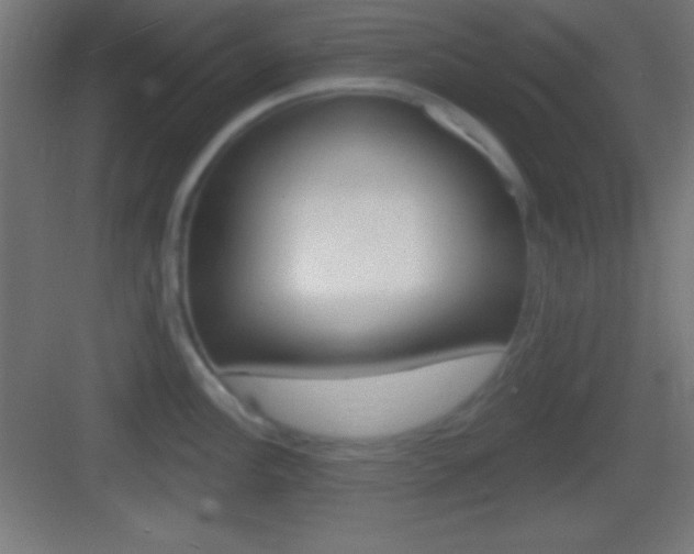X0000083531148200702090713