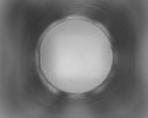 X0000083531150200702090713