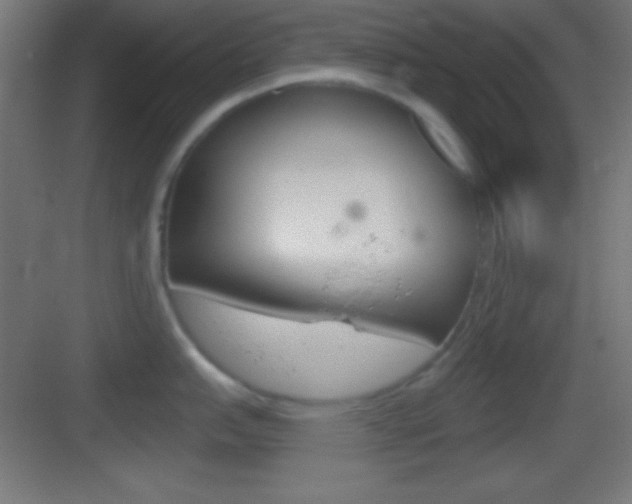 X0000083531151200702090713