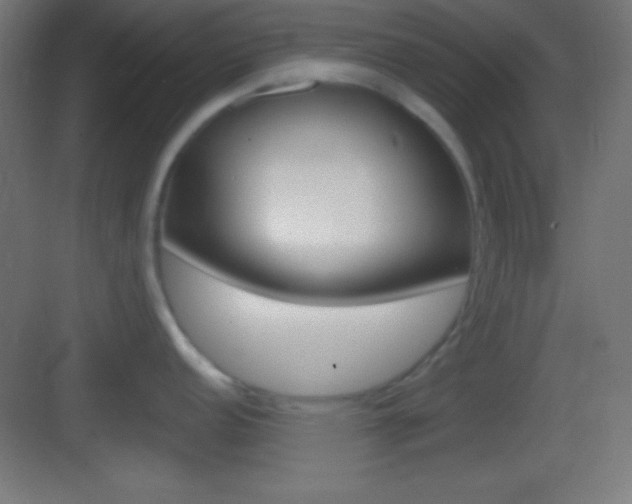 X0000083531152200702090713